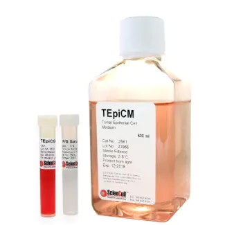 Tonsil Epithelial Cell Medium