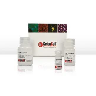 Total Antioxidant Capacity Assay