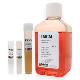Trabecular Meshwork Cell Medium