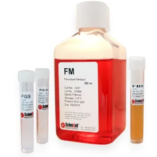 成纤维细胞培养基