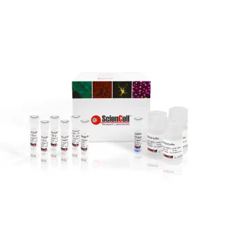 猴痘病毒多重 qPCR 检测试剂盒