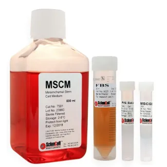 间充质干细胞培养基（MSCM）