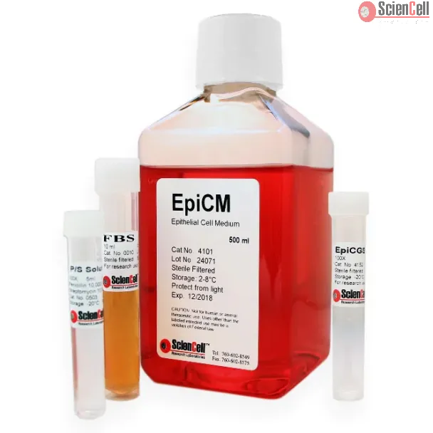 上皮细胞培养基（EpiCM）