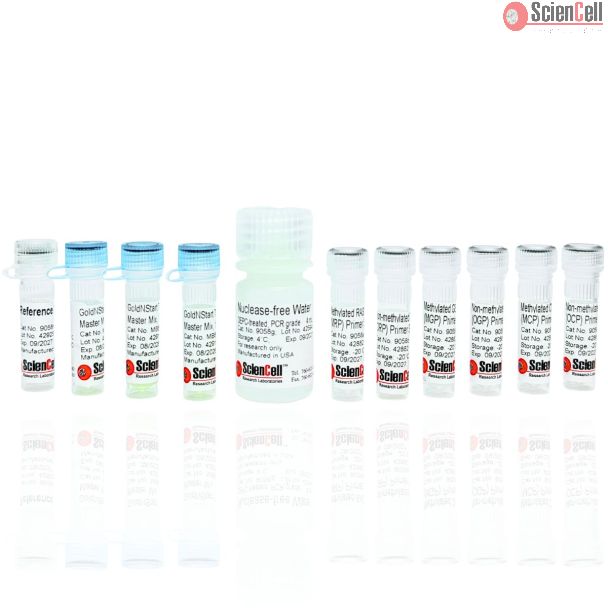 人类癌症启动子甲基化 qPCR 检测试剂盒