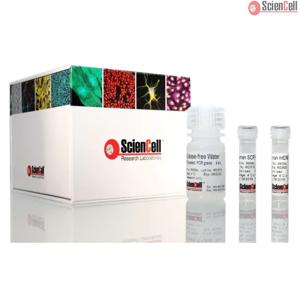 人线粒体DNA拷贝数相对定量 qPCR 检测试剂盒