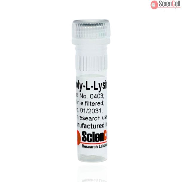 多聚-L-赖氨酸溶液（PLL），浓度 1 mg/ml