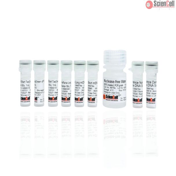 小鼠线粒体 DNA 损伤定量 qPCR 检测试剂盒