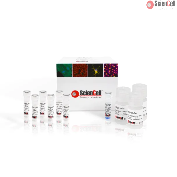 猴痘病毒多重 qPCR 检测试剂盒