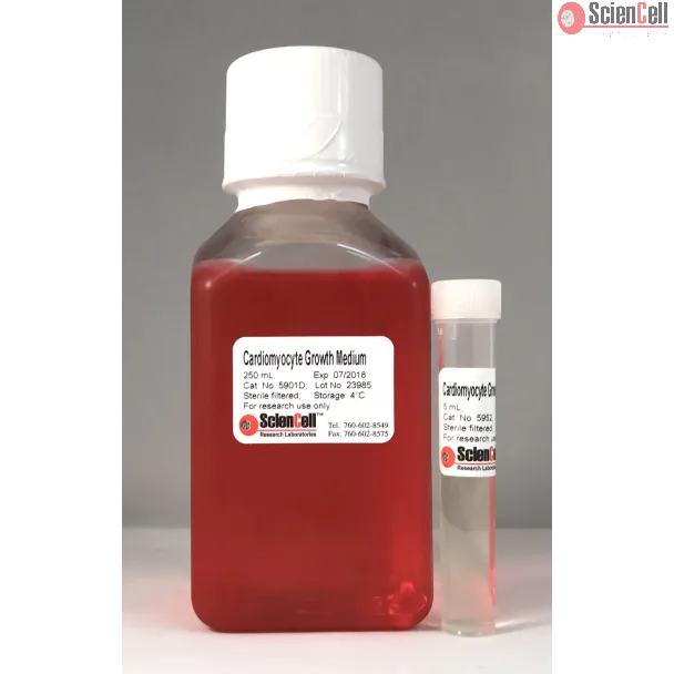 Cardiomyocyte Growth Medium