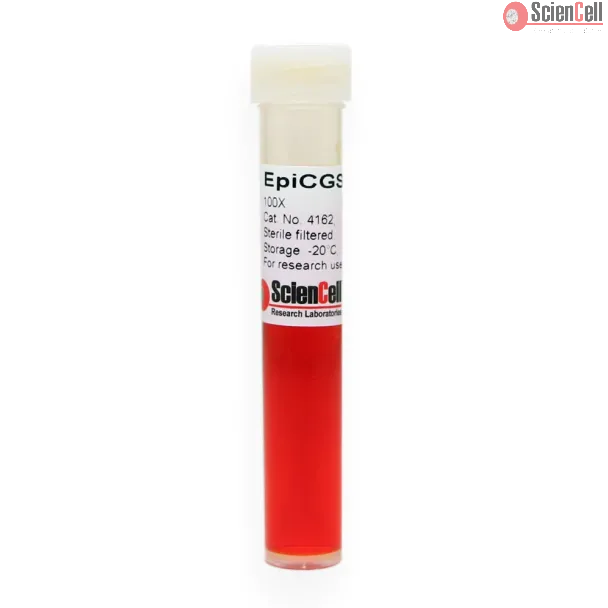 Epithelial Cell Growth Supplement-2