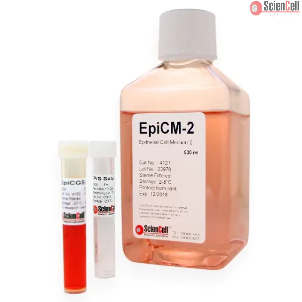 Epithelial Cell Medium-2