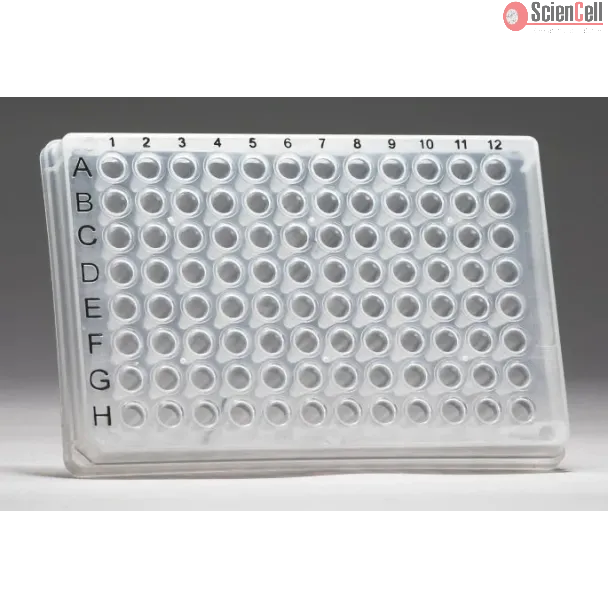 GeneQuery™ 人类癌症免疫逃逸调控 qPCR 阵列试剂盒（第 2 板，共 2 板）