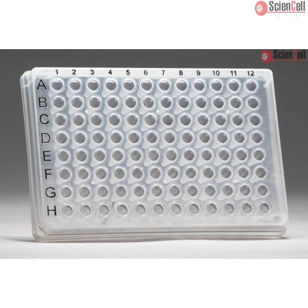 GeneQuery™ 人类突触活动 qPCR 芯片试剂盒