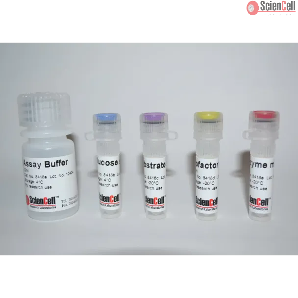 Glucose Assay
