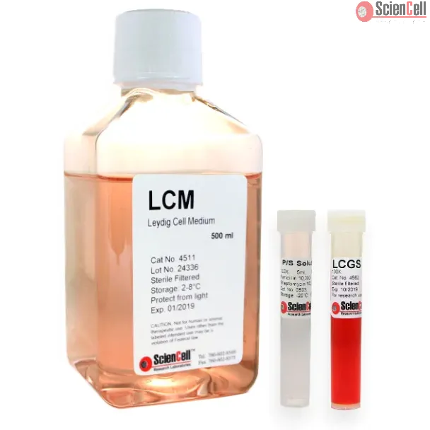 Leydig Cell Medium