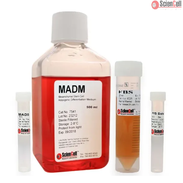 Mesenchymal Stem Cell Adipogenic Differentiation Medium