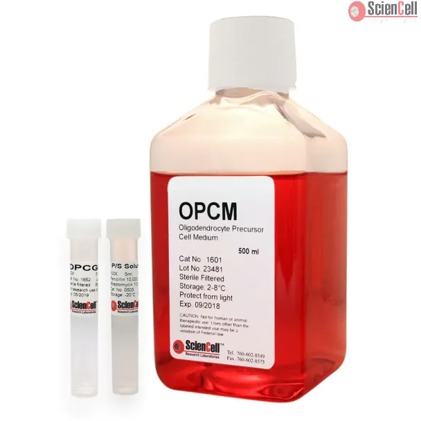 Oligodendrocyte Precursor Cell Medium