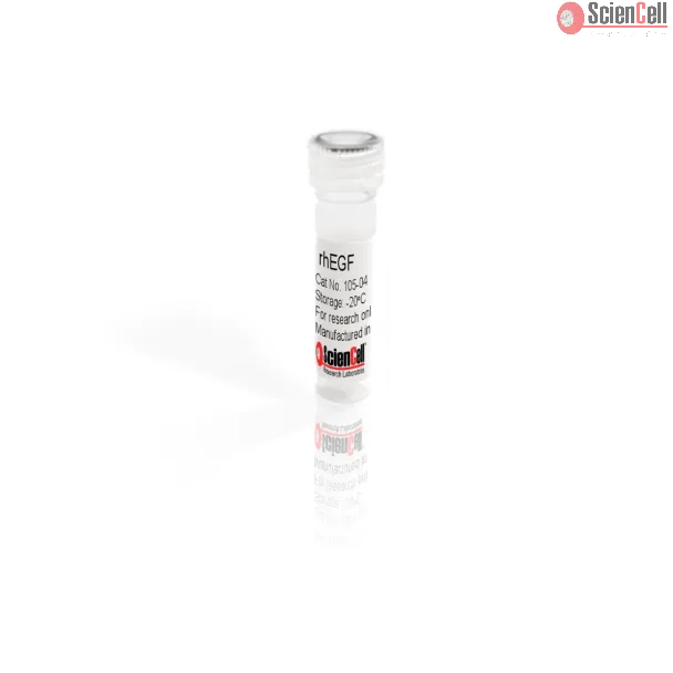 Recombinant Human Epidermal Growth Factor