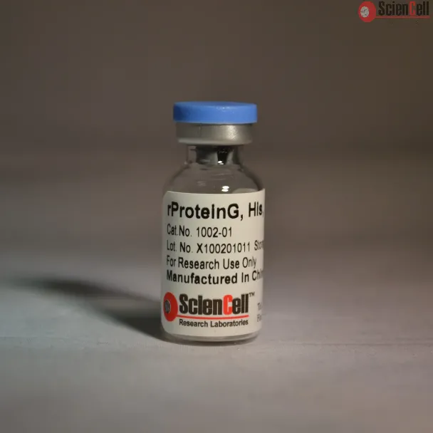 Recombinant Protein G