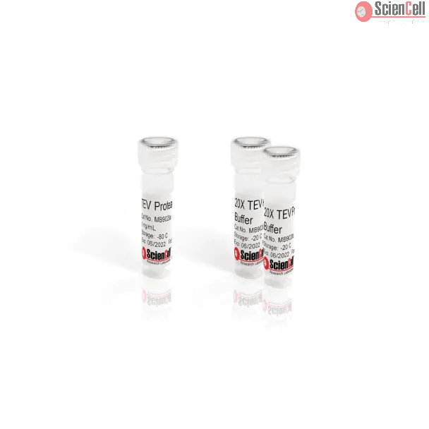 Recombinant TEV Protease with 20X TEV Protease Buffer