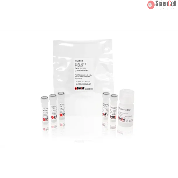 SARS-CoV-2 RT-qPCR Detection Kit