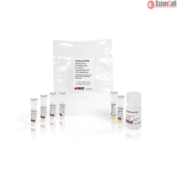 SARS-CoV-2 SYBR® Green RT-qPCR 定量检测试剂盒