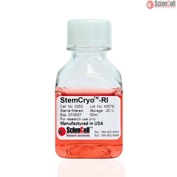 StemCryo™ 含 ROCK 抑制剂