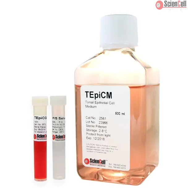 Tonsil Epithelial Cell Medium
