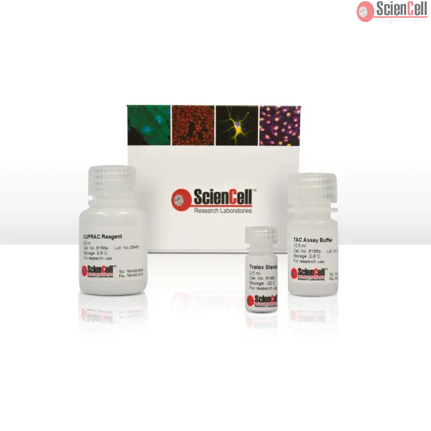 Total Antioxidant Capacity Assay