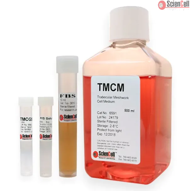 Trabecular Meshwork Cell Medium