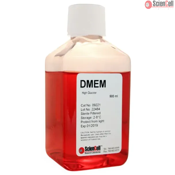 高糖 DMEM 培养基（含 L-谷氨酰胺和丙酮酸钠）