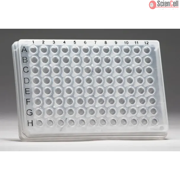GeneQuery™ Human Tie2/Angpt Signaling qPCR Array Kit (GQH-TEK)