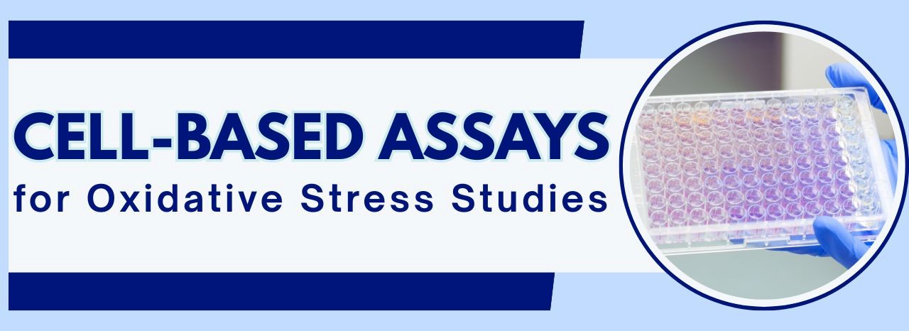 Cell Based Assays