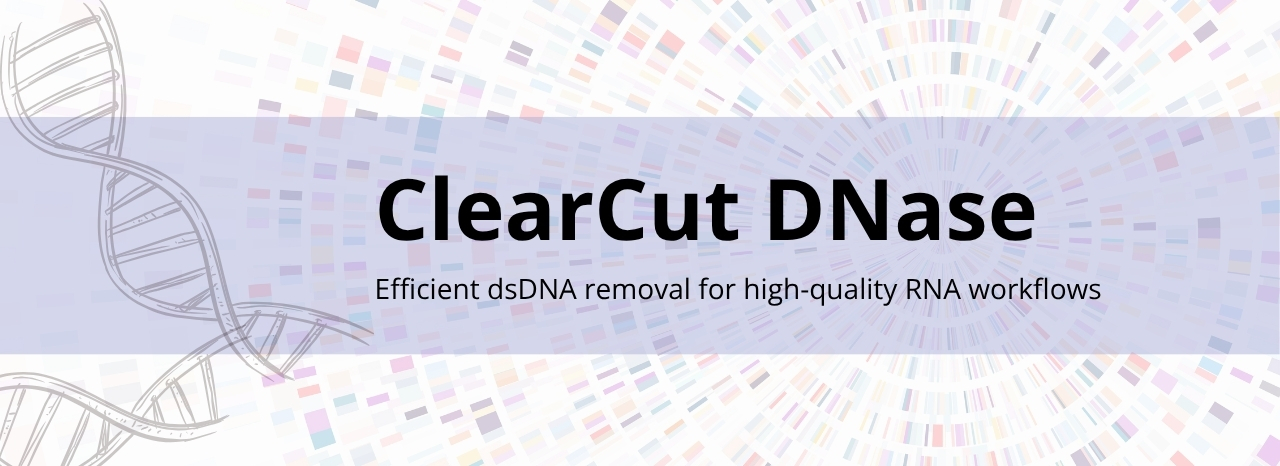 ClearCut DNase