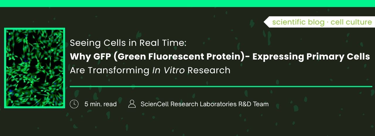 Why GFP?