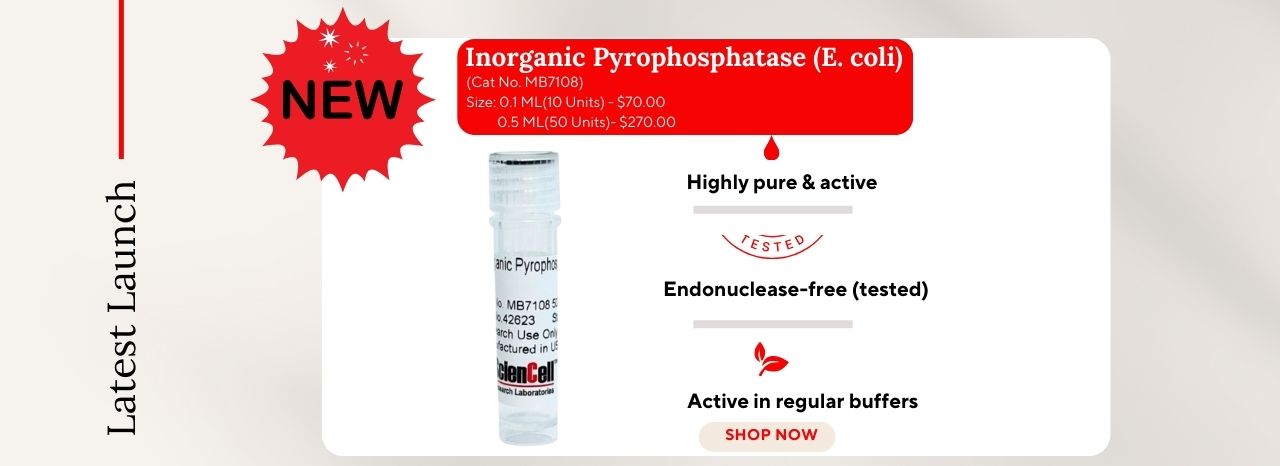 Inorganic Pyrophosphatase (E. coli)