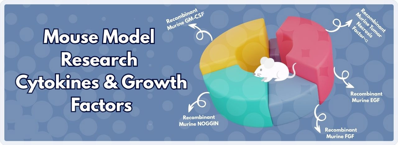 Mouse Model Research