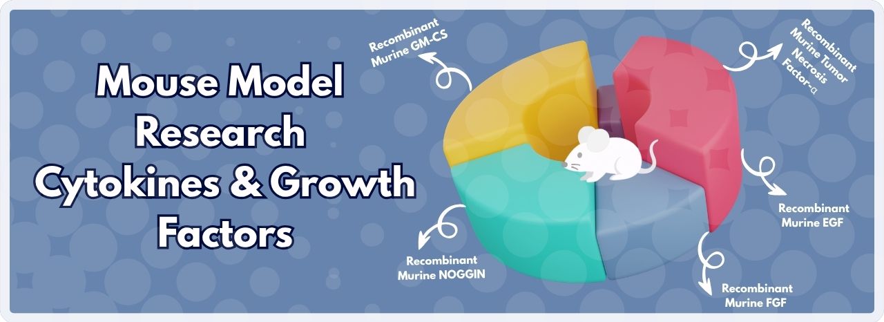 Mouse Model Research