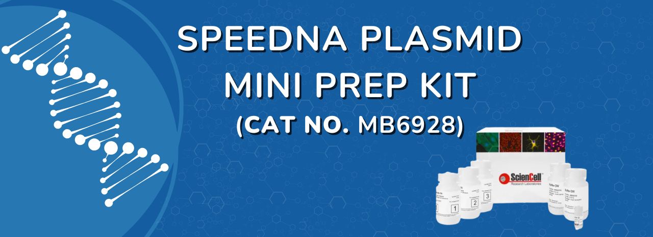 SpeeDNA Plasmid Mini Prep Kit