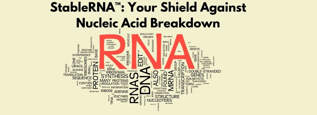StableRNA