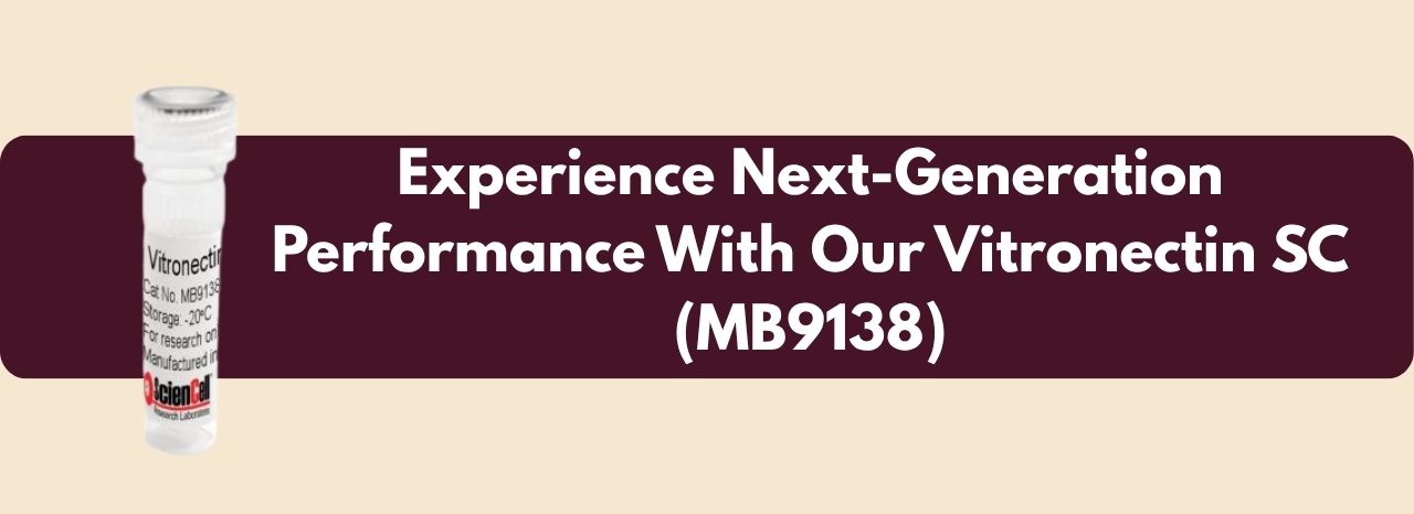 MB9138