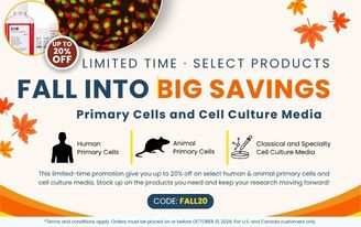Fall Sale