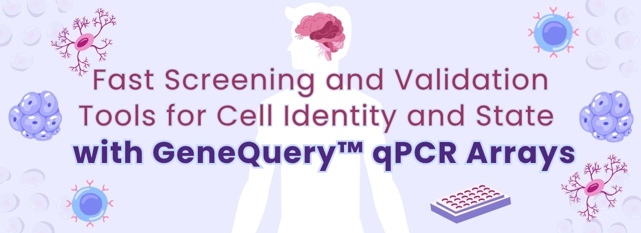 qPCR Arrays