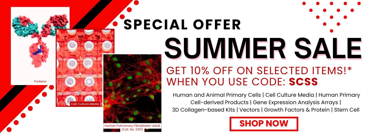 Summer Sale