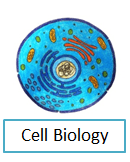 Cell Biology