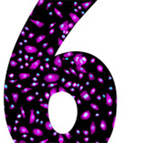 6 common mistakes when working with primary cells