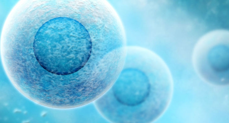 Choosing the Right Substrate for cell attachment