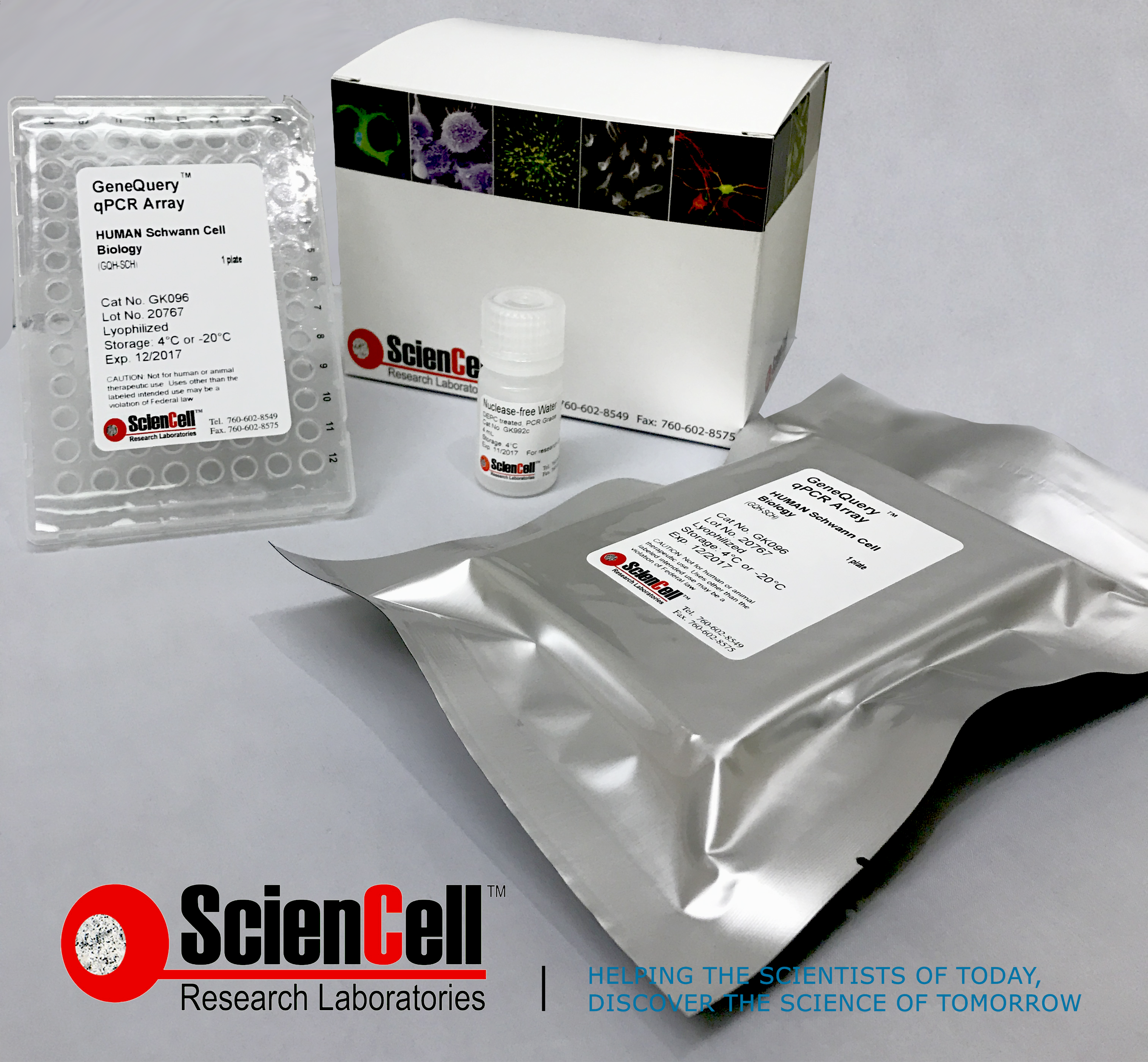 ScienCell GeneQuery™, a Gene Expression Analysis Tool