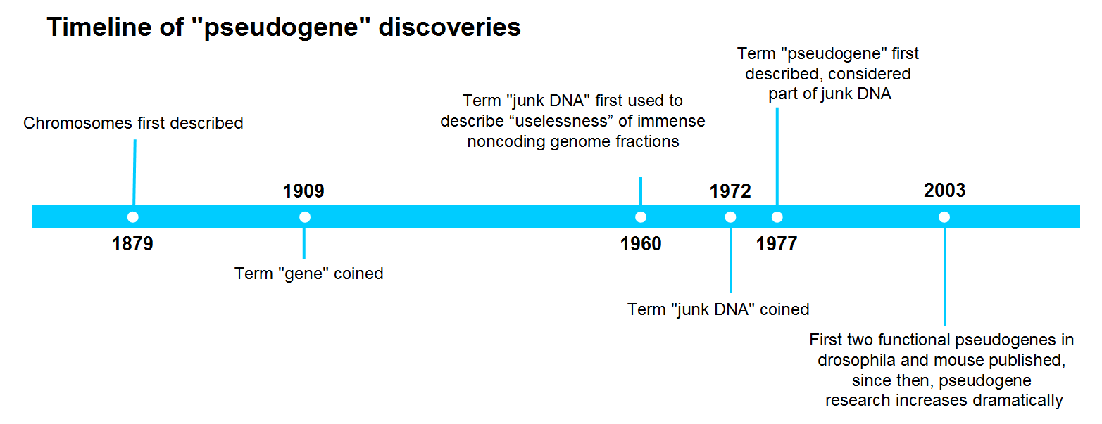 Hidden Treasure in "Junk DNA"