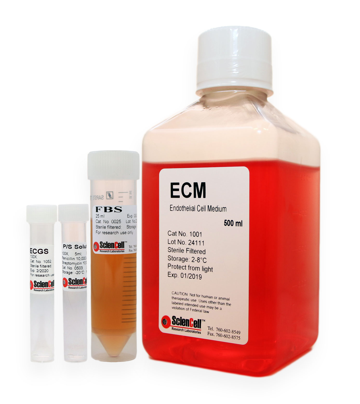 Why is basal media and supplement important in cell culture?